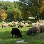 Gut Am 호텔