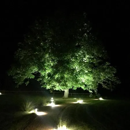 Gut Am Hotel Görlitz