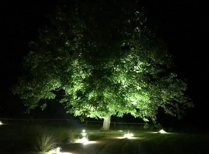 Gut Am Hotel Görlitz