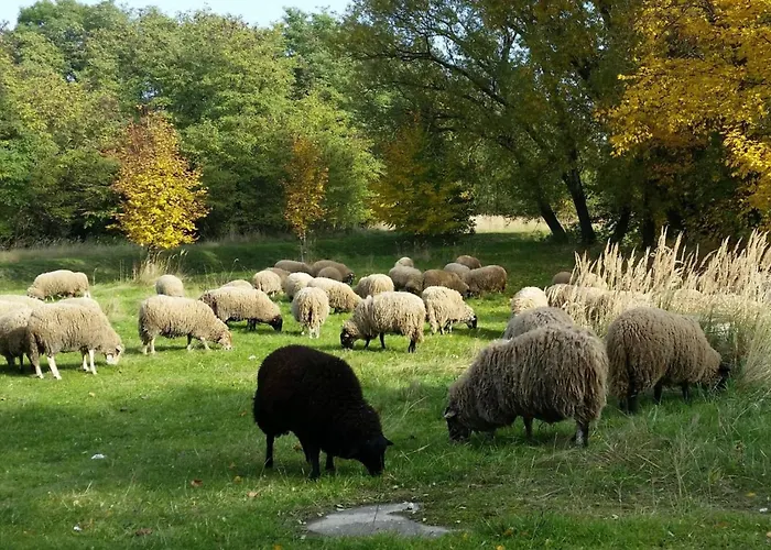 Gut Am Ξενοδοχείο